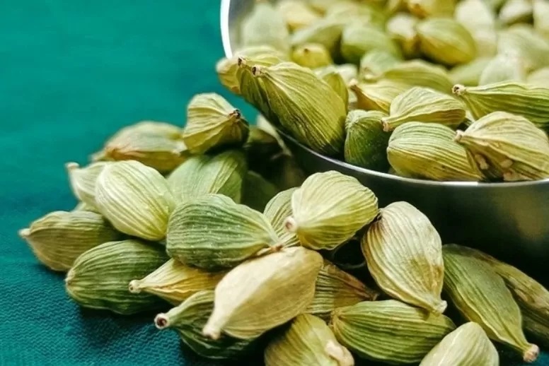 Phát triển sản xuất bạch đậu khấu tại Việt Nam